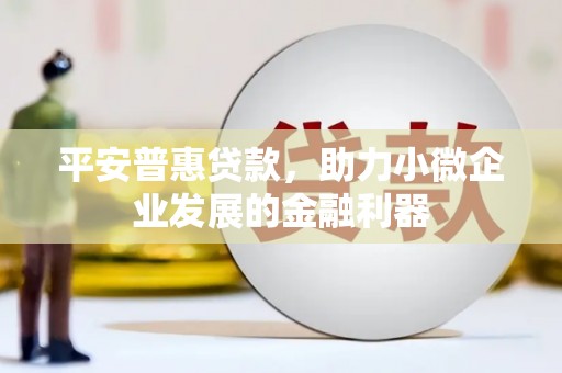 克什克腾旗平安普惠贷款，助力小微企业发展的金融利器