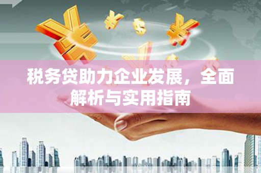 克什克腾旗税务贷助力企业发展，全面解析与实用指南