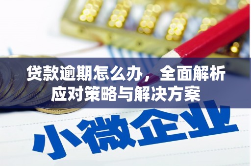 克什克腾旗贷款逾期怎么办，全面解析应对策略与解决方案